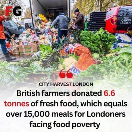 photo_2024-11-26_16-09-24