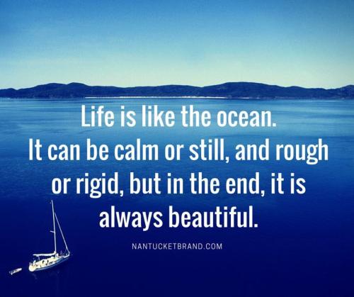 883E36A0-7B09-4AF7-BF2A-5D0CF0F10B0B