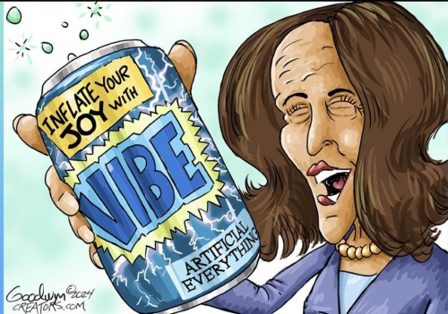 image_4ED1BB56-B2F2-4681-95BF-25D480C8CF0A