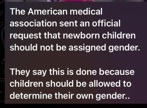 Screenshot_2024-11-21-10-24-44-14_97a2cc1df75455058e89d0e079c79104