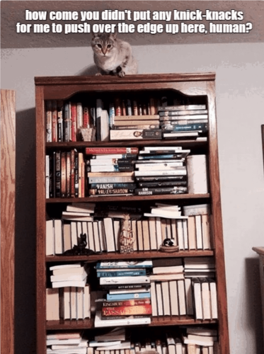 knacks-push-over-edge-up-here-human-momenty-john-hart-vanish-valley-shadow-harrison-kingsbury-passa