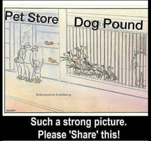 image_44E94721-C351-4655-9F2B-7D461C216DD1