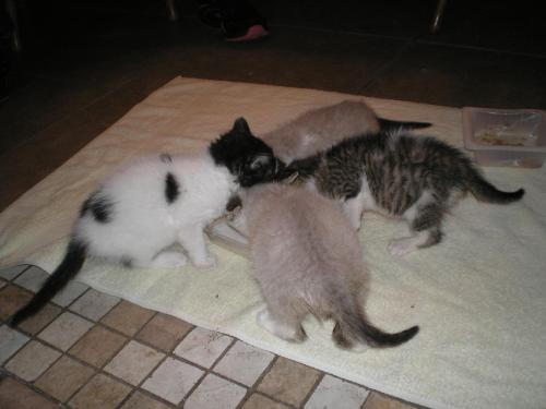 2014-11-22 18.34.16-2