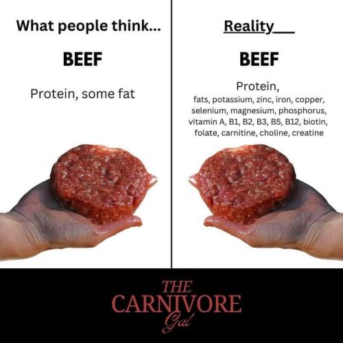 the carnivore