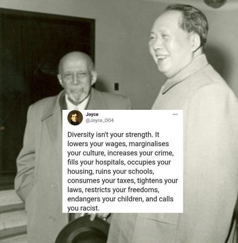 photo_2024-11-15_19-11-30