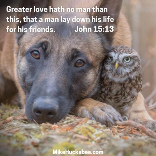 2e75efac-754d-463b-b671-26c225a9c223_1080x1080