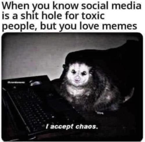 image_FD59E2AC-EF97-4BC1-A801-36EDDC3D6B8D