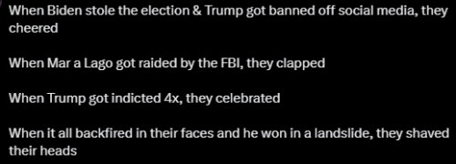 image_2024-11-17_101345843