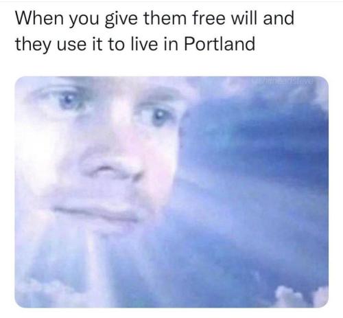 photo_2024-11-12_22-54-41