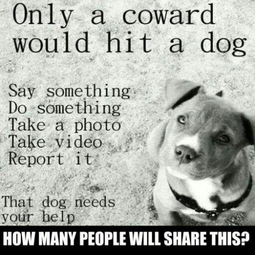 9babe8585f949370c2f1b24cba25be41