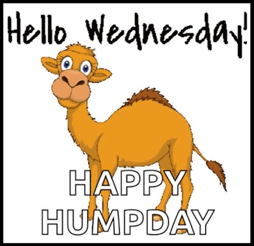 1-Hump Day