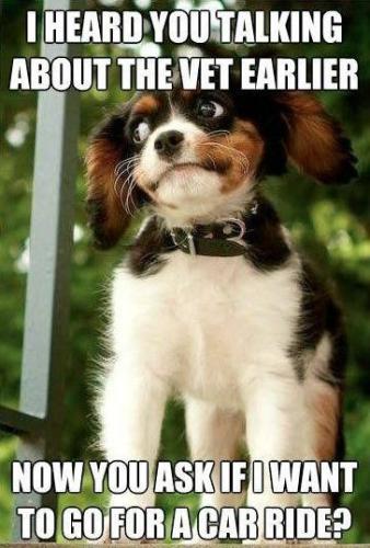 b0ef42bab6b52bef5f384d1d3c340442