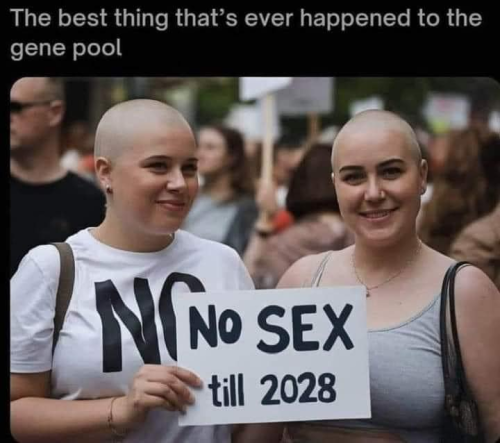 image_2024-11-27_065417122