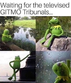 gitmo03