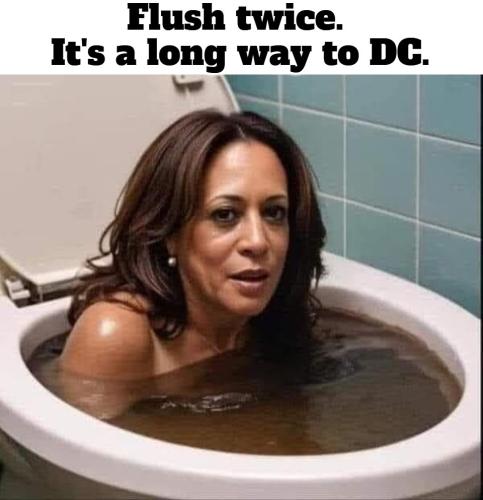 Flush twice it's a long way to DC