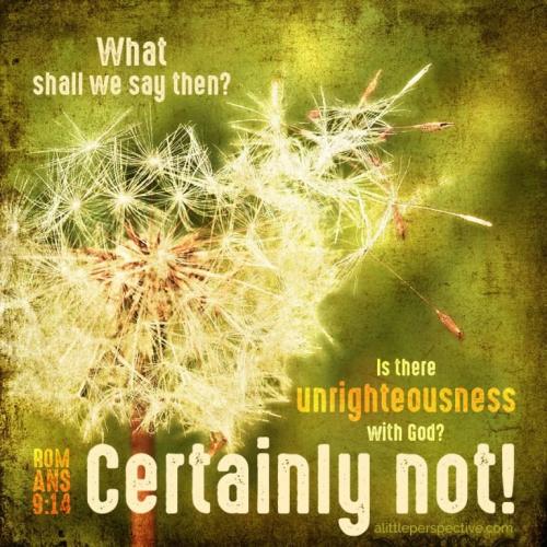 rom-9-14-ww-pixabay-9x-768x768