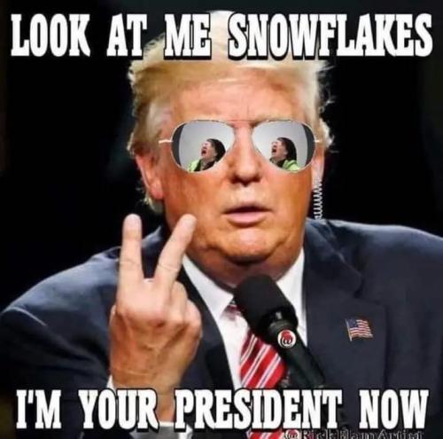 image_B4406D2A-5831-48CB-BE96-4629EEA99341