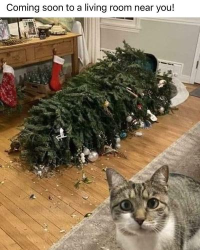 coming-soon-living-room-near