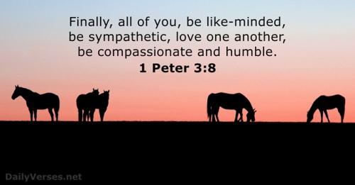 1 Peter 3_8