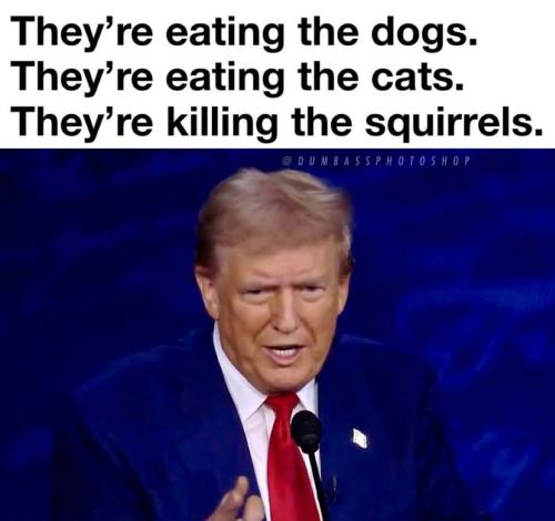 IMG_20241103_065546_083