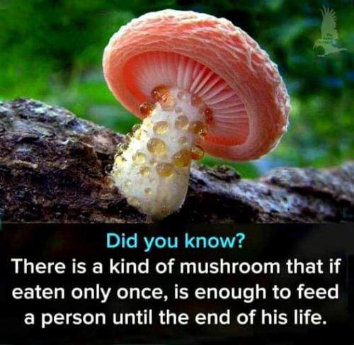did you know