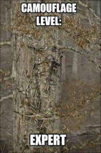 image_34A97332-0590-4C2A-979D-74B582C894B6