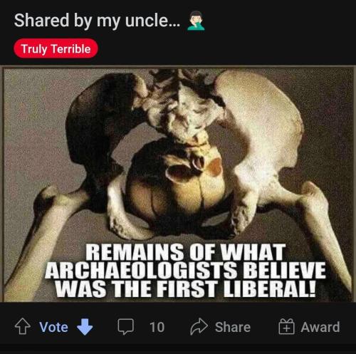 op-is-a-serious-liberal-v0-8t2ft5fsg6jb1