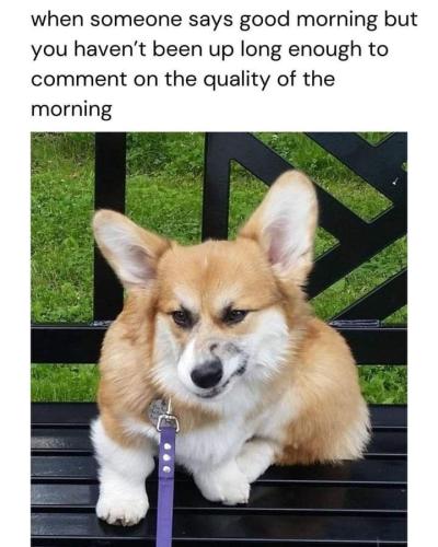 399-someone-says-good-morning-but-havent-been-up-long-enough-comment-on-quality-morning