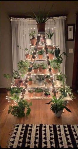 6D7CE8A5-4D16-4579-ADFE-C631B60F6896