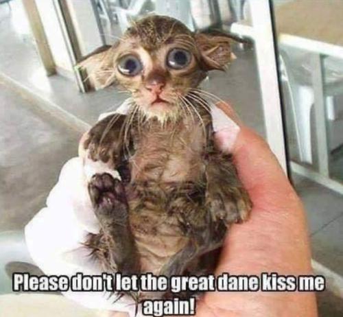 576e34bee426eed3aaf2f0905b380072