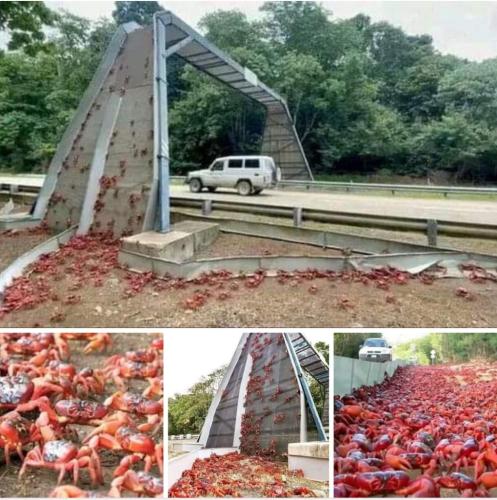 b2c9ac14-435a-4d52-a405-9b1f07b57cf3