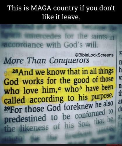 8b68473690c6c1e6de93f2d12eb4e64847ecd252596502d16beb9bfc837dc0a9_1