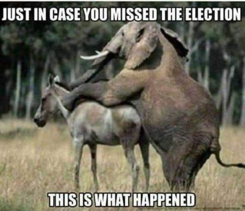 6f4ceaf0-3c03-4996-8639-818286822808