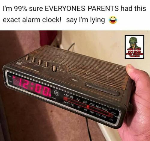 IMG_20241103_145642_415