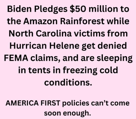 image_2024-11-21_062628304