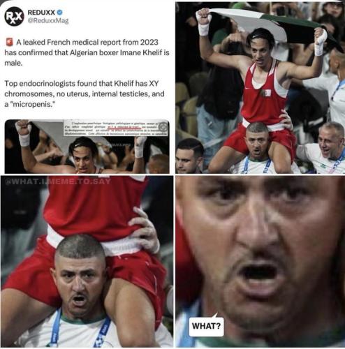 photo_2024-11-05_21-21-21