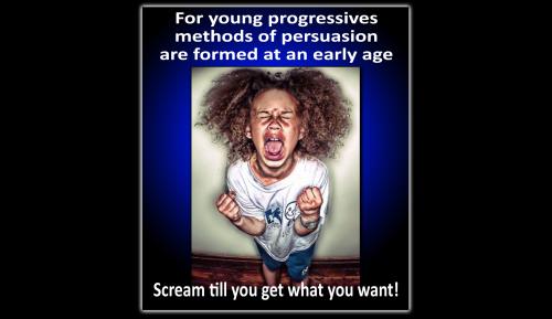 PROGRESSIVE BRAT