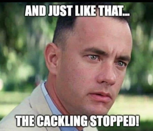 image_2024-11-07_062757765