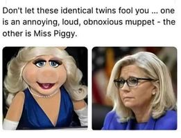 465687609_1072894281194834_1715371522470106221_n