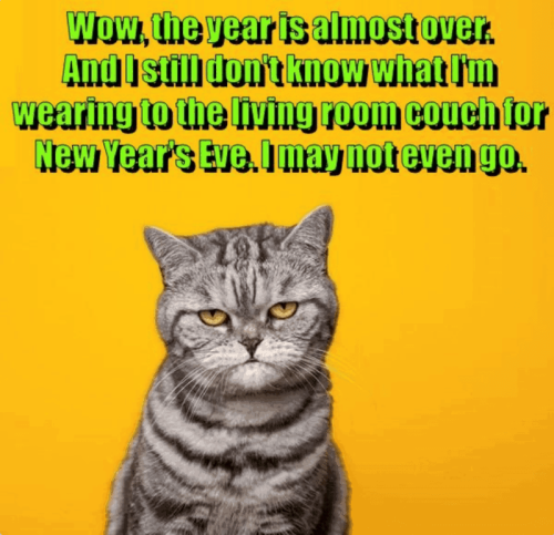 wow-year-is-almost-over-and-still-dont-know-wearing-living-room-couch-new-years-eve-may-not-even-go