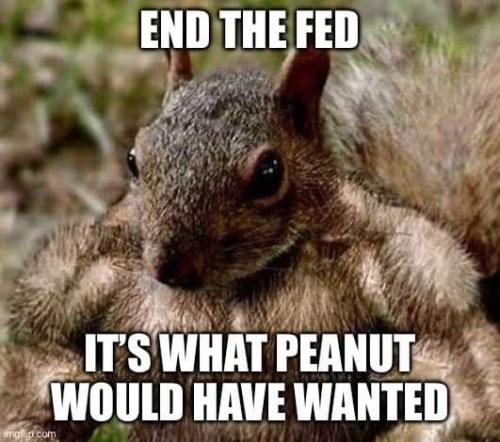 FB_IMG_1730757649639