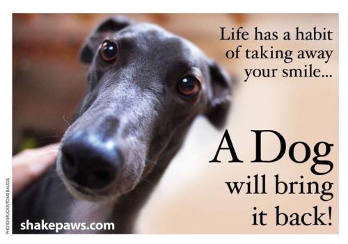 091813fc5ea60988e2c4d0c54eb33d14