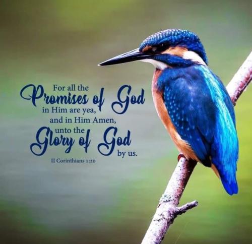 d1853d60-198f-4bc9-a4dc-f0db56b76af0