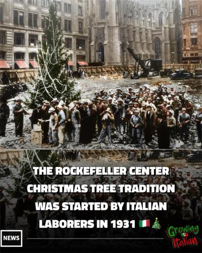 82DC16D1-7531-490F-80E3-61C36B0EB1B7