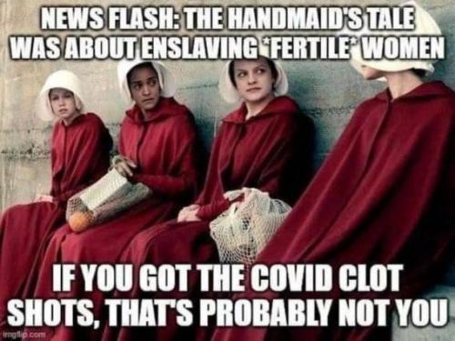 image_9BBCF5A3-1CBB-42F3-A4FA-79E97D9A3A01