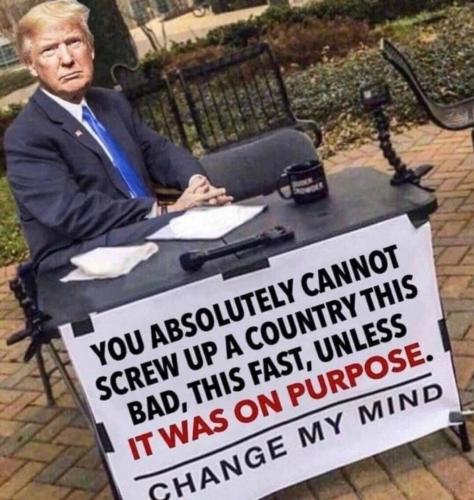 photo_2024-11-12_23-21-32