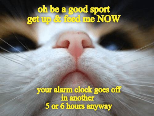 2bd23a96ea494824db762194d9606d34