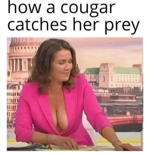 image_1A8C4457-C40B-427C-9446-AD8F0414CE05