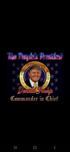 Screenshot_20241106_021718_Wimkin Free Speech Social Media