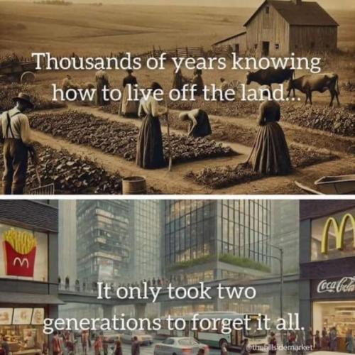 photo_2024-11-23_15-50-26